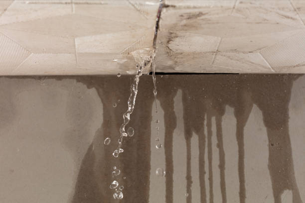 Professional Structural Drying technician working in Schoolcraft, MI